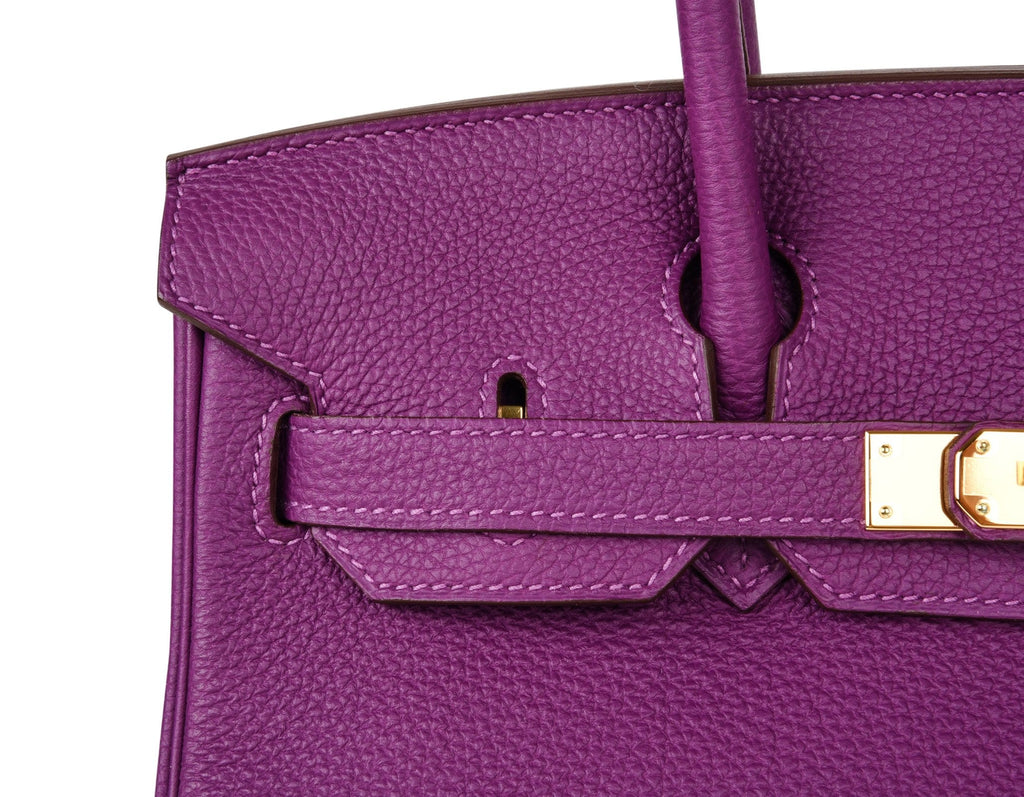 Birkin 30 Bag Anemone Togo Gold Hardware Exotic Purple Beauty