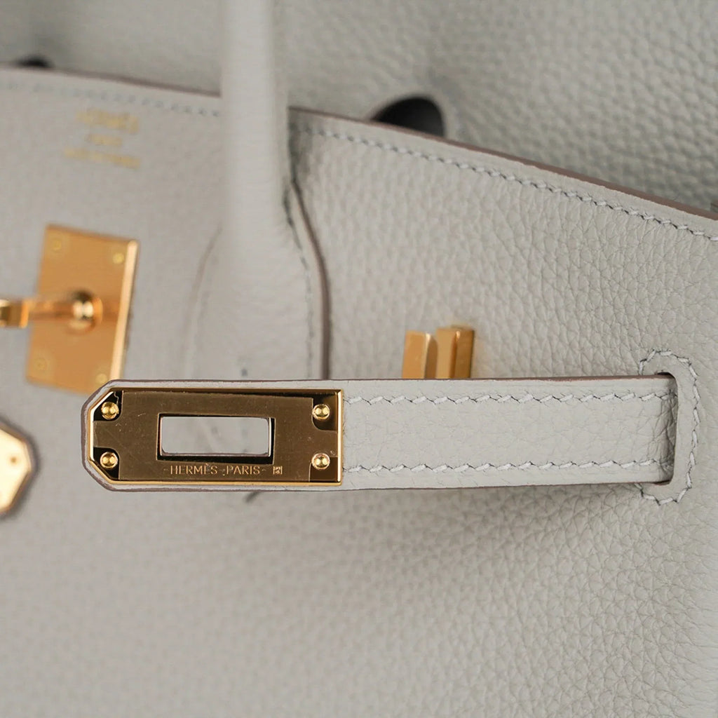 Birkin 25 Bag Gris Perle Togo Gold Hardware