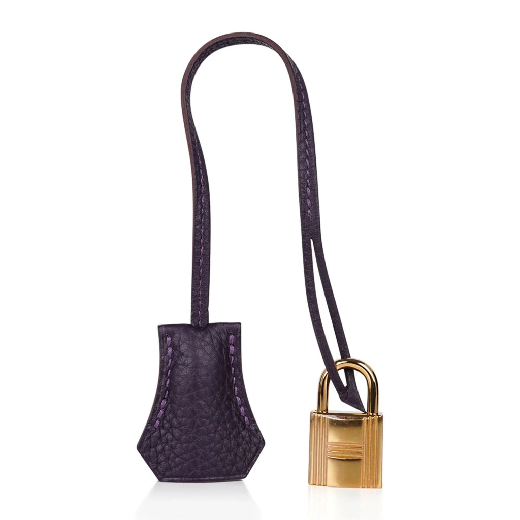 Birkin 30 Bag Raisin Rich Original Colour Gold Hardware Togo Leather