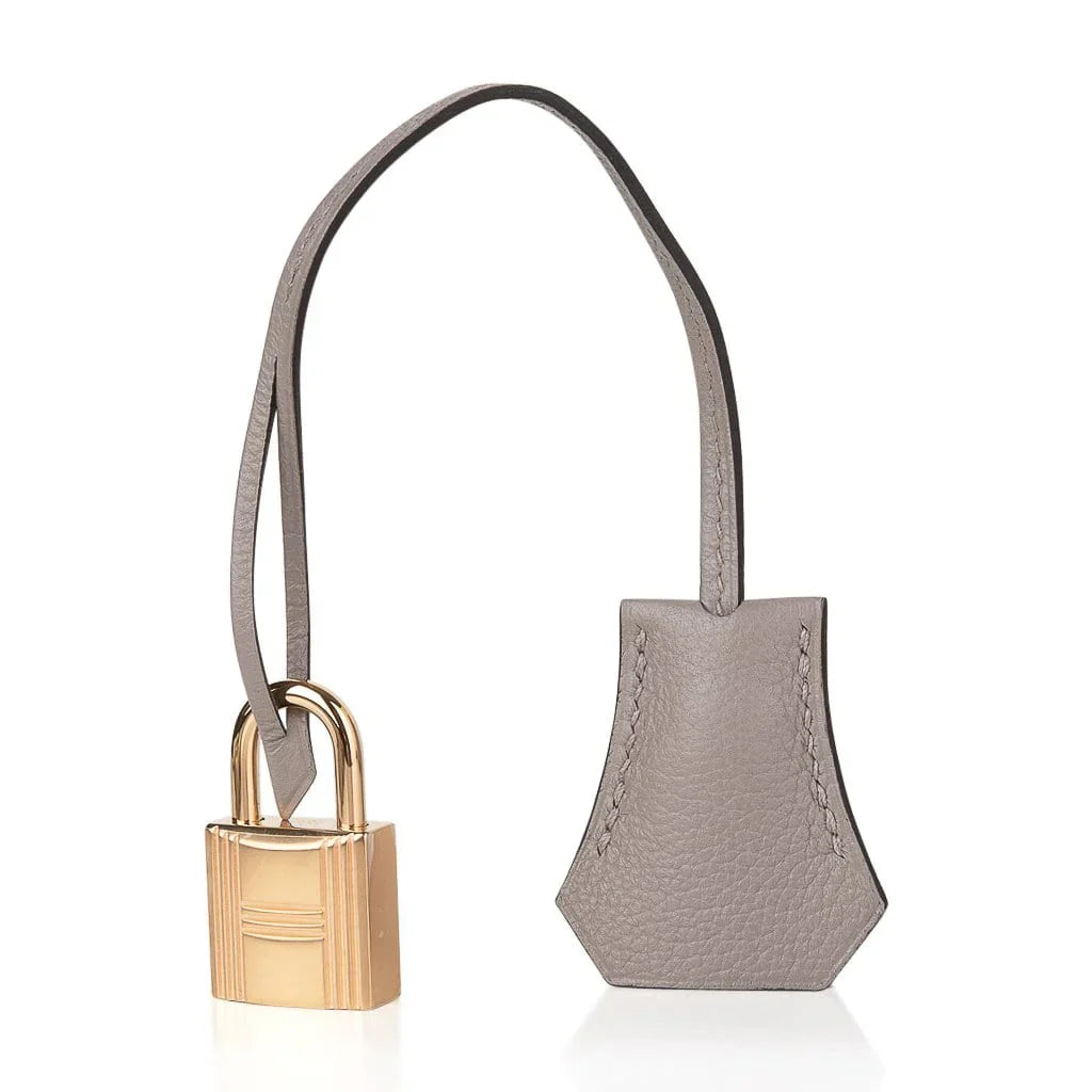 Birkin 25 Bag Gris Asphalte Novillo Leather Gold Hardware