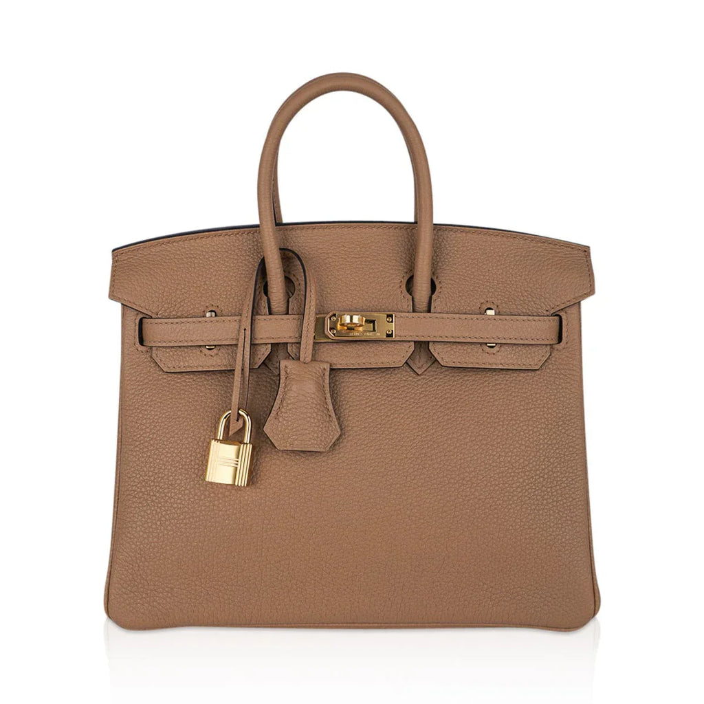 Birkin 25 Bag in Chai Togo Leather with Gold Hardware