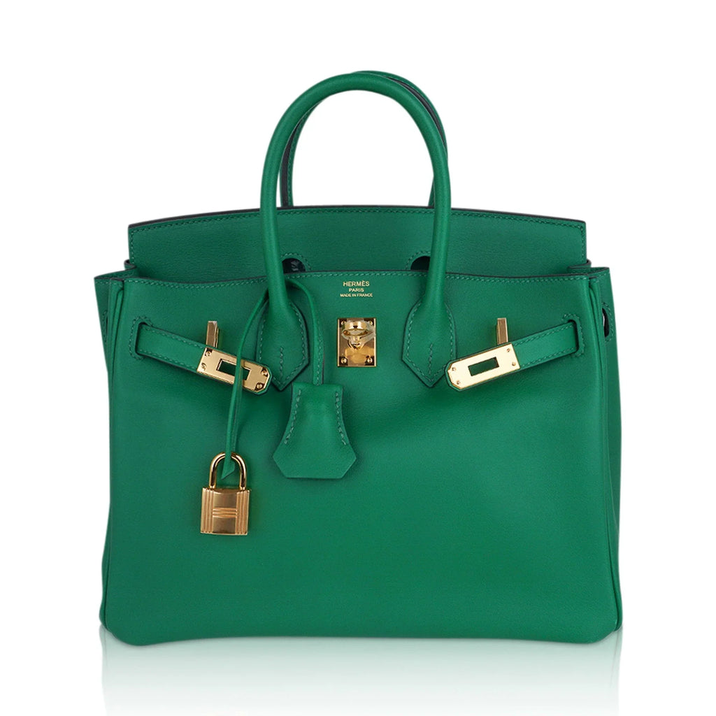 Birkin 25 Bag in Cactus Swift Leather with Gold Hardware