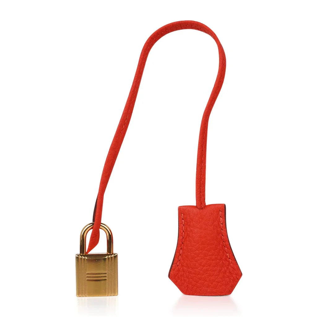 Birkin 35 Bag Capucine Togo Leather with Gold Hardware