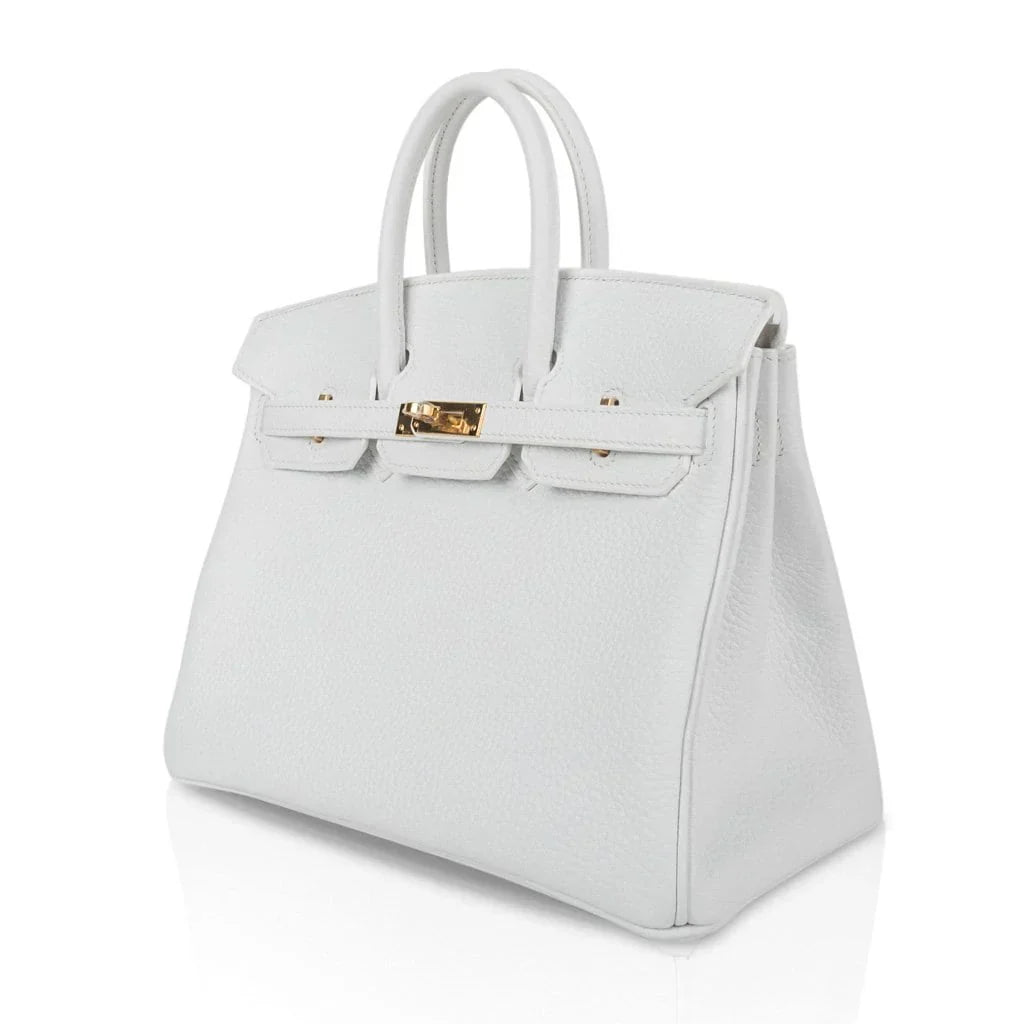 Birkin 25 HSS Bag White Clemence Gold Hardware