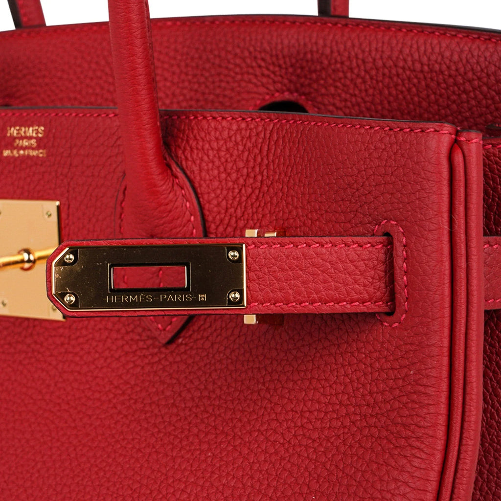 Birkin 30 Bag Lipstick Rouge Vif Togo Leather with Gold Hardware