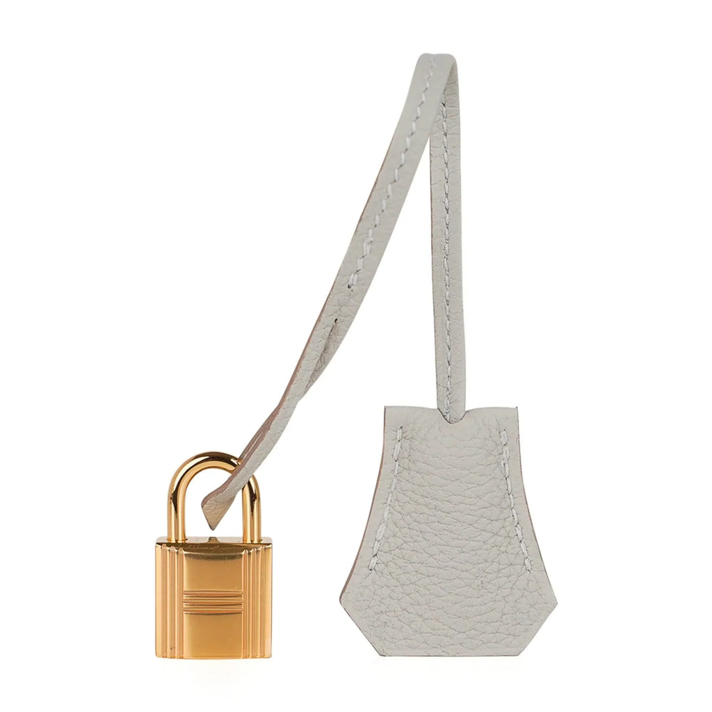 Birkin 25 Bag Gris Perle Togo Gold Hardware