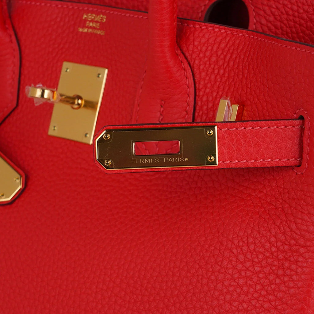 Birkin 30 Capucine Bag Togo Leather Gold Hardware
