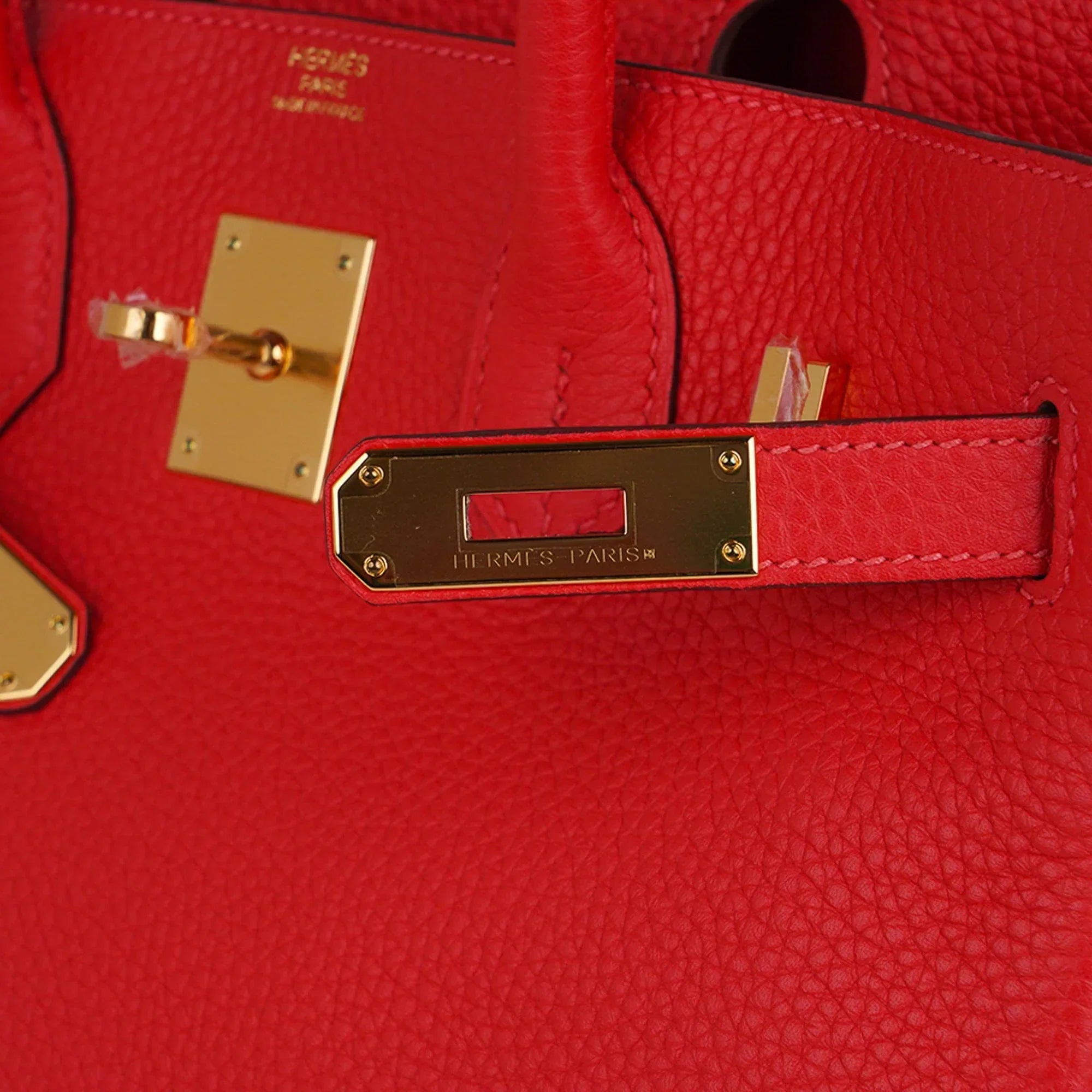 Birkin 30 Capucine Bag Togo Leather Gold Hardware