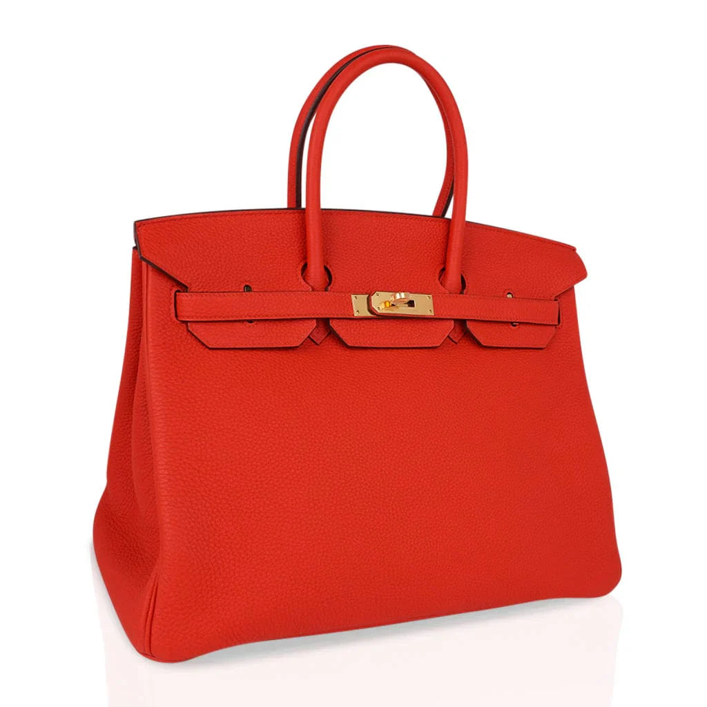 Birkin 35 Bag Capucine Togo Leather with Gold Hardware