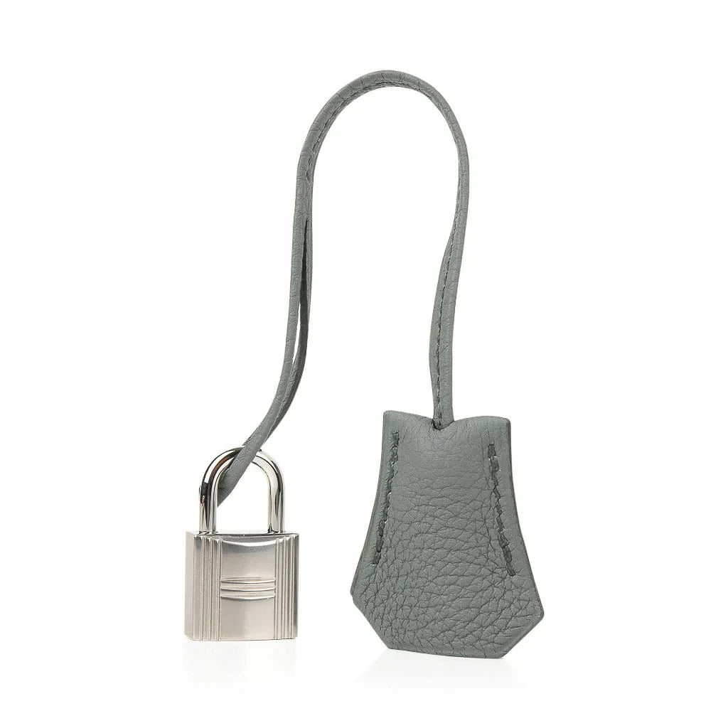 Birkin 25 Bag Vert Amande Togo Palladium Hardware
