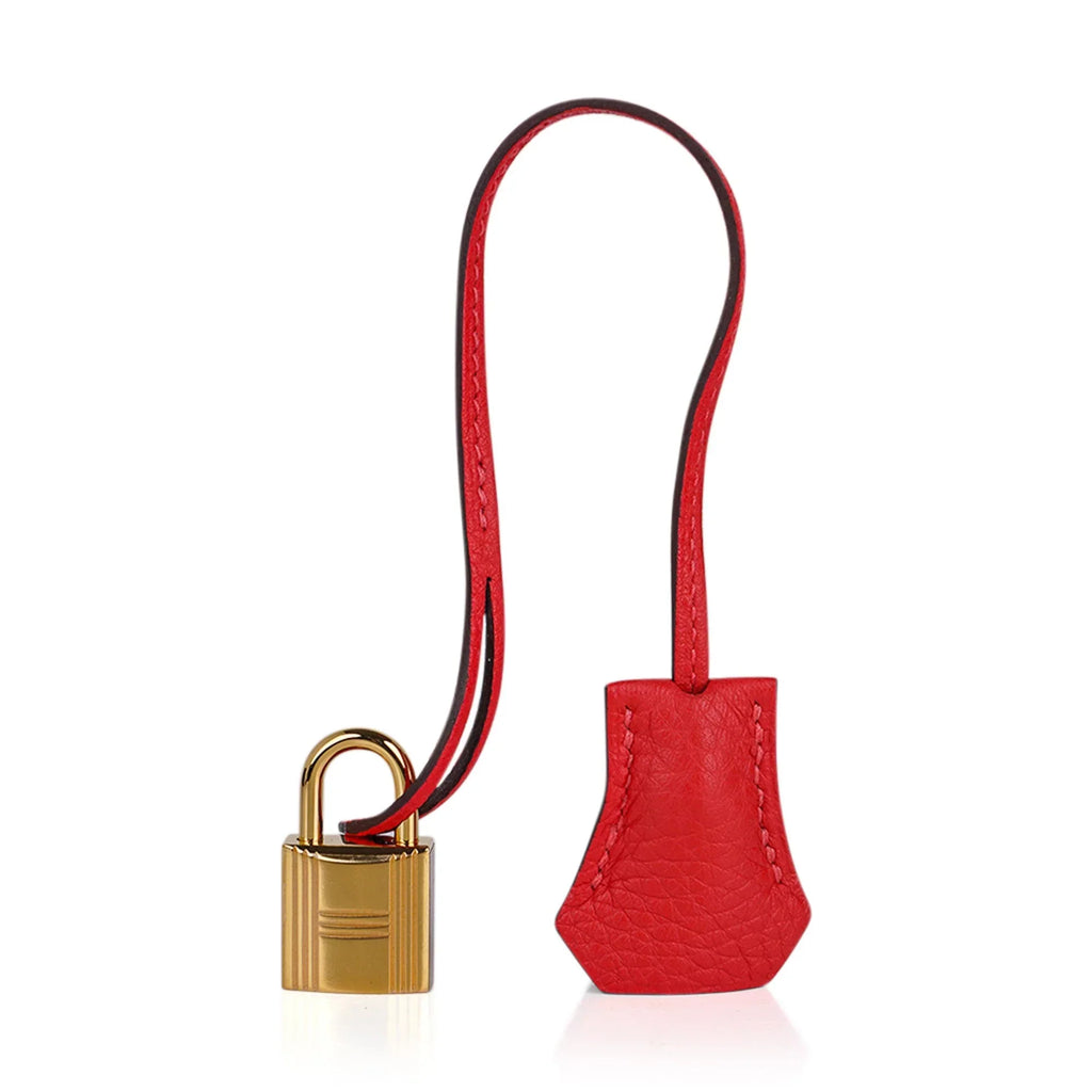 Birkin 30 Capucine Bag Togo Leather Gold Hardware