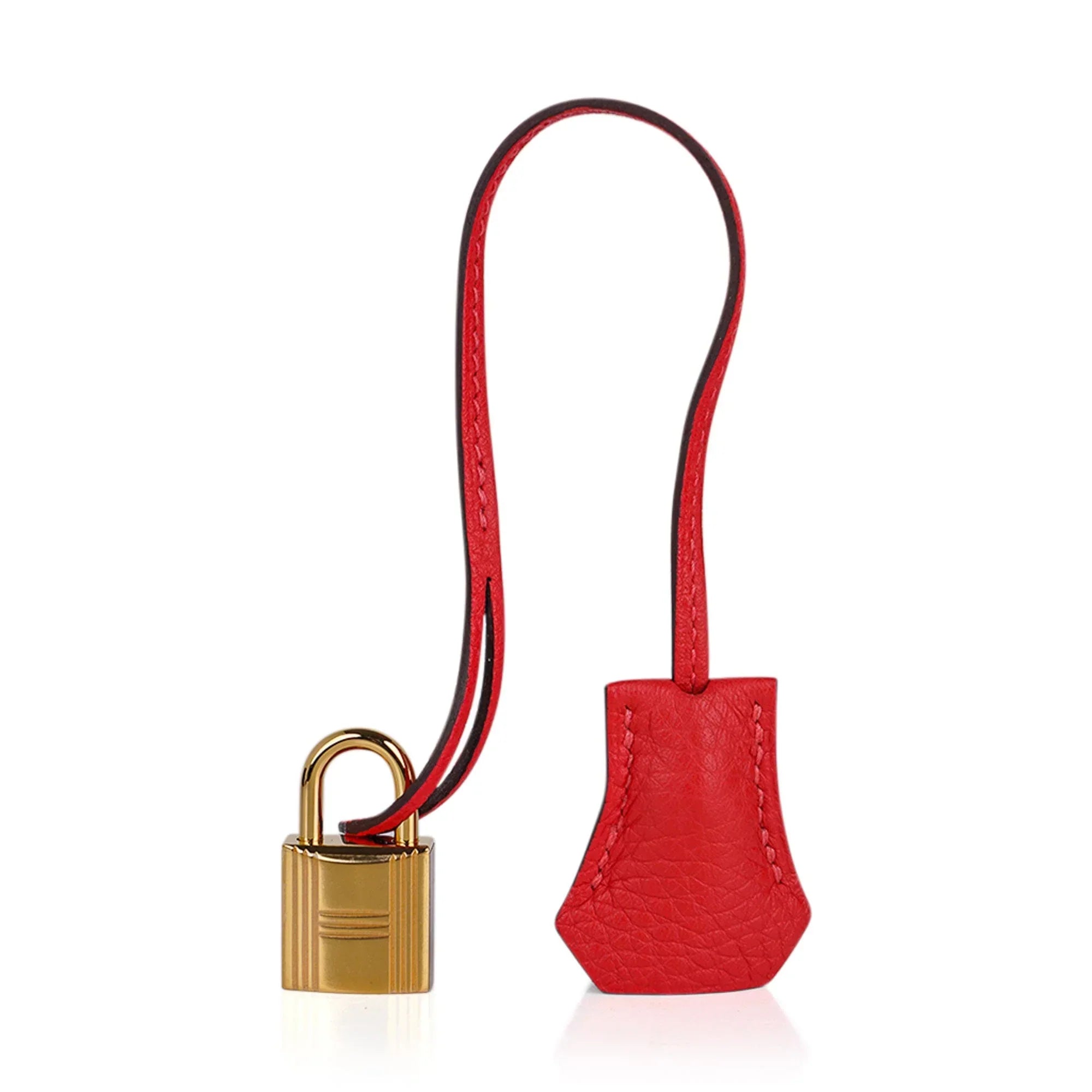 Birkin 30 Capucine Bag Togo Leather Gold Hardware
