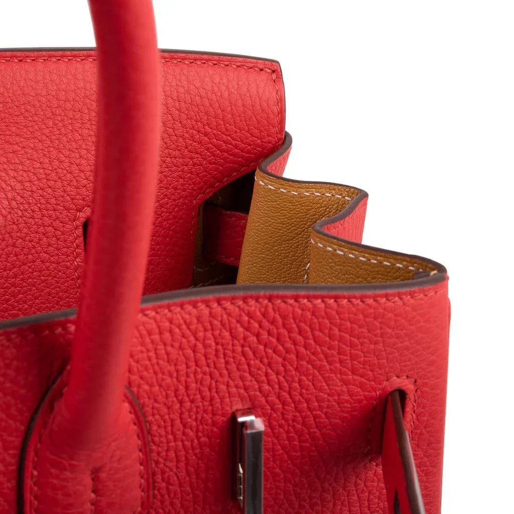 Verso Birkin 30 Bag Rouge Tomate & Natural Sable Togo Leather with Palladium Hardwre